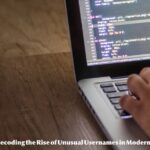 Bigcokc69420: Decoding the Rise of Unusual Usernames in Modern Internet Culture