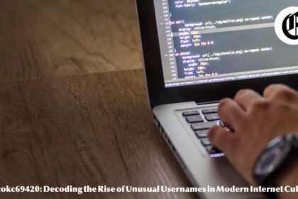 Bigcokc69420: Decoding the Rise of Unusual Usernames in Modern Internet Culture