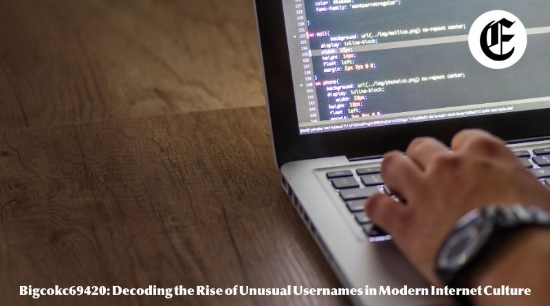 Bigcokc69420: Decoding the Rise of Unusual Usernames in Modern Internet Culture